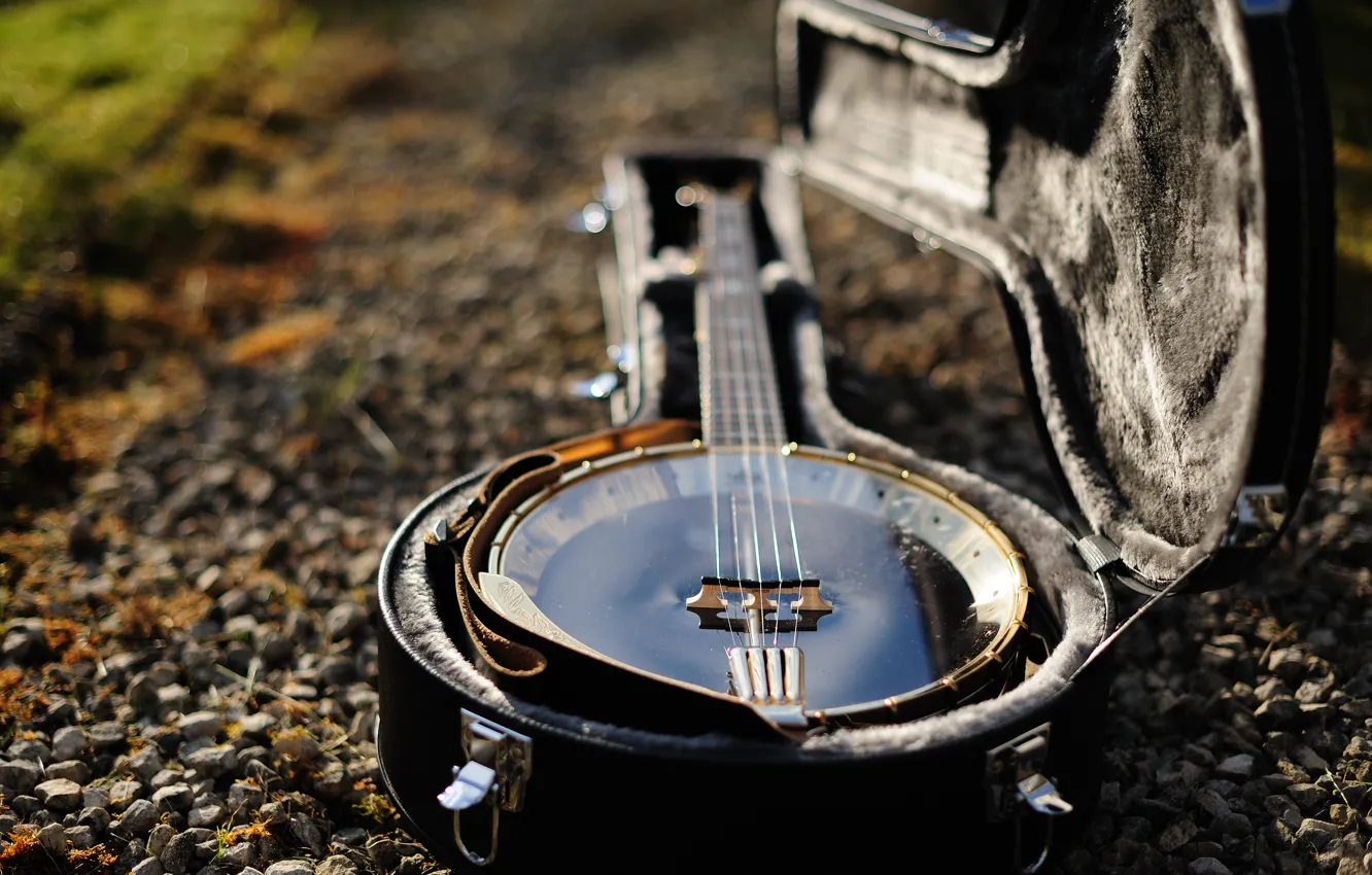 Банджо Музыкальный Инструмент Фото
