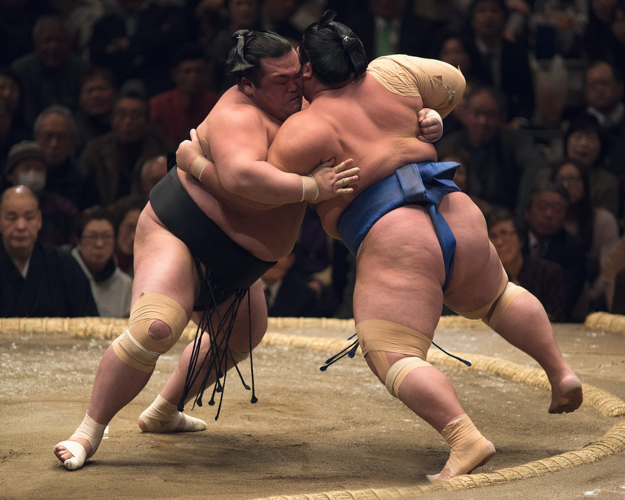 Скачать обои спорт, борьба, сумо, раздел мужчины в разрешении 1280x1024.