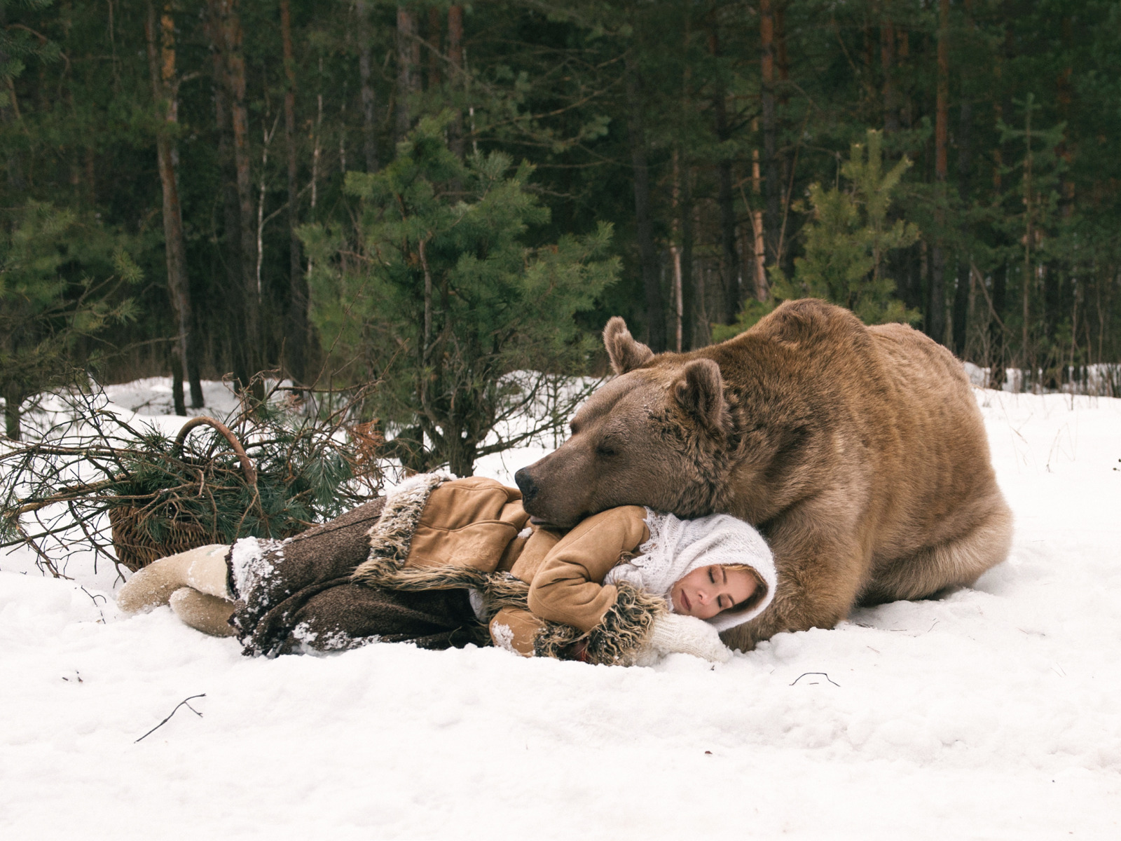 Снился Медведь Перед Знакомством С Мужем