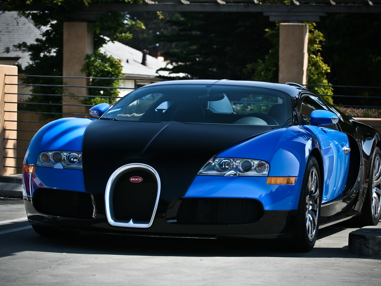 Bugatti, Veyron, black, blue. 