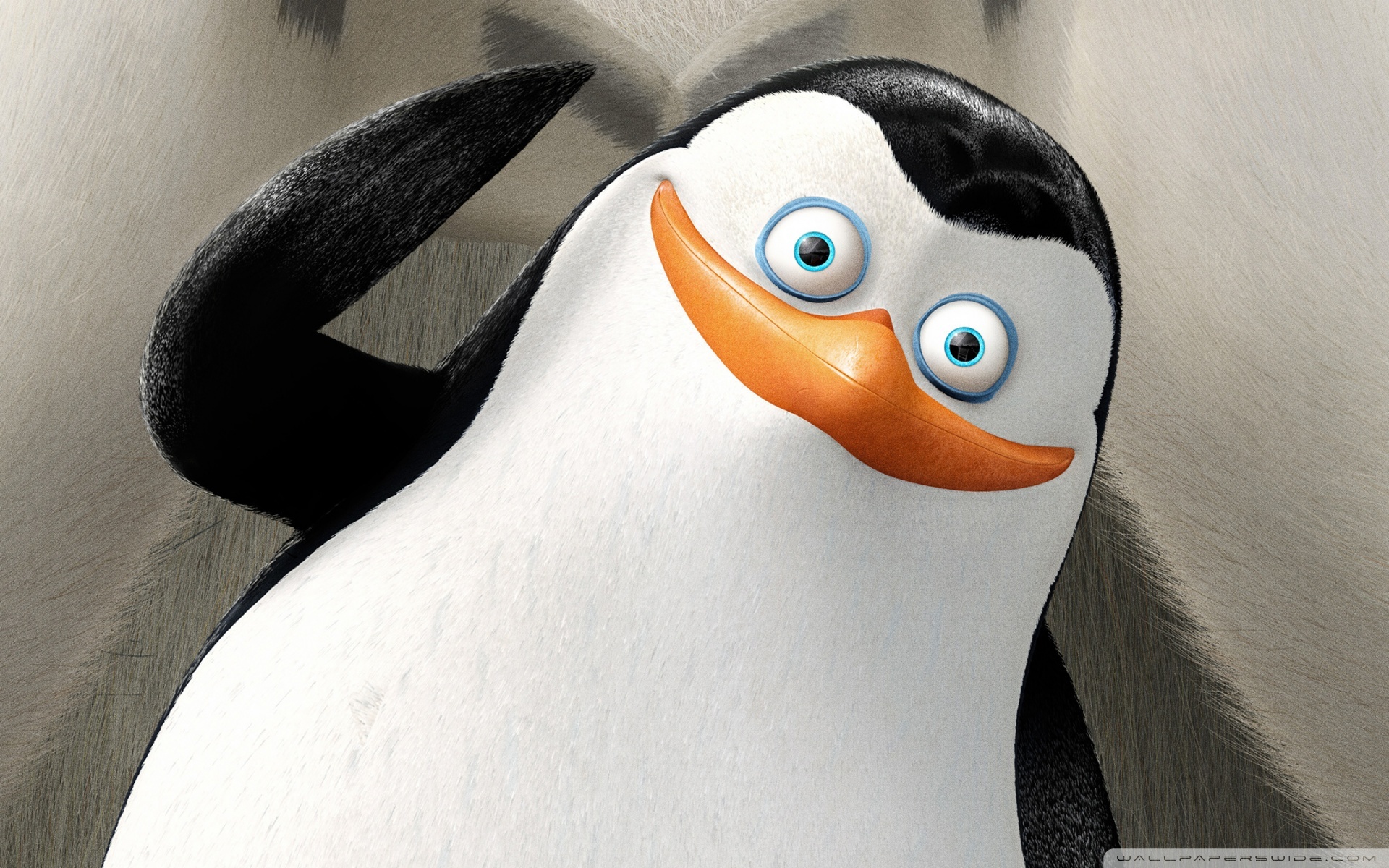 Скачать обои мультфильм, The Penguins of Madagascar, Пингвины из Мадагаскар...