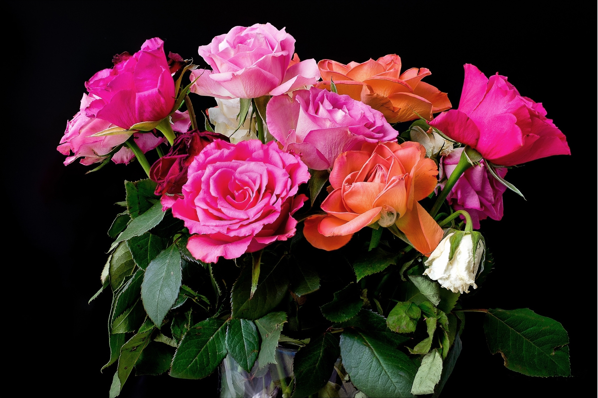 вперед смещается букет цветов в картинках роз на рабочем столе веселье еще больше