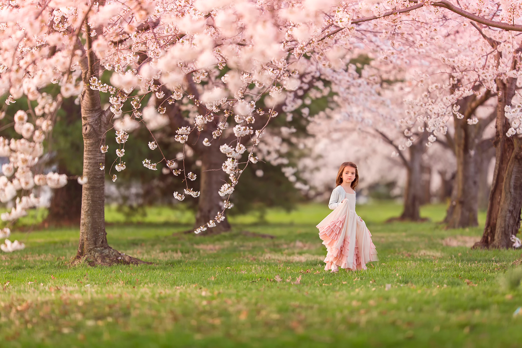 Скачать обои весна, девочка, цветение, Cherry blossoms, раздел природа в ра...