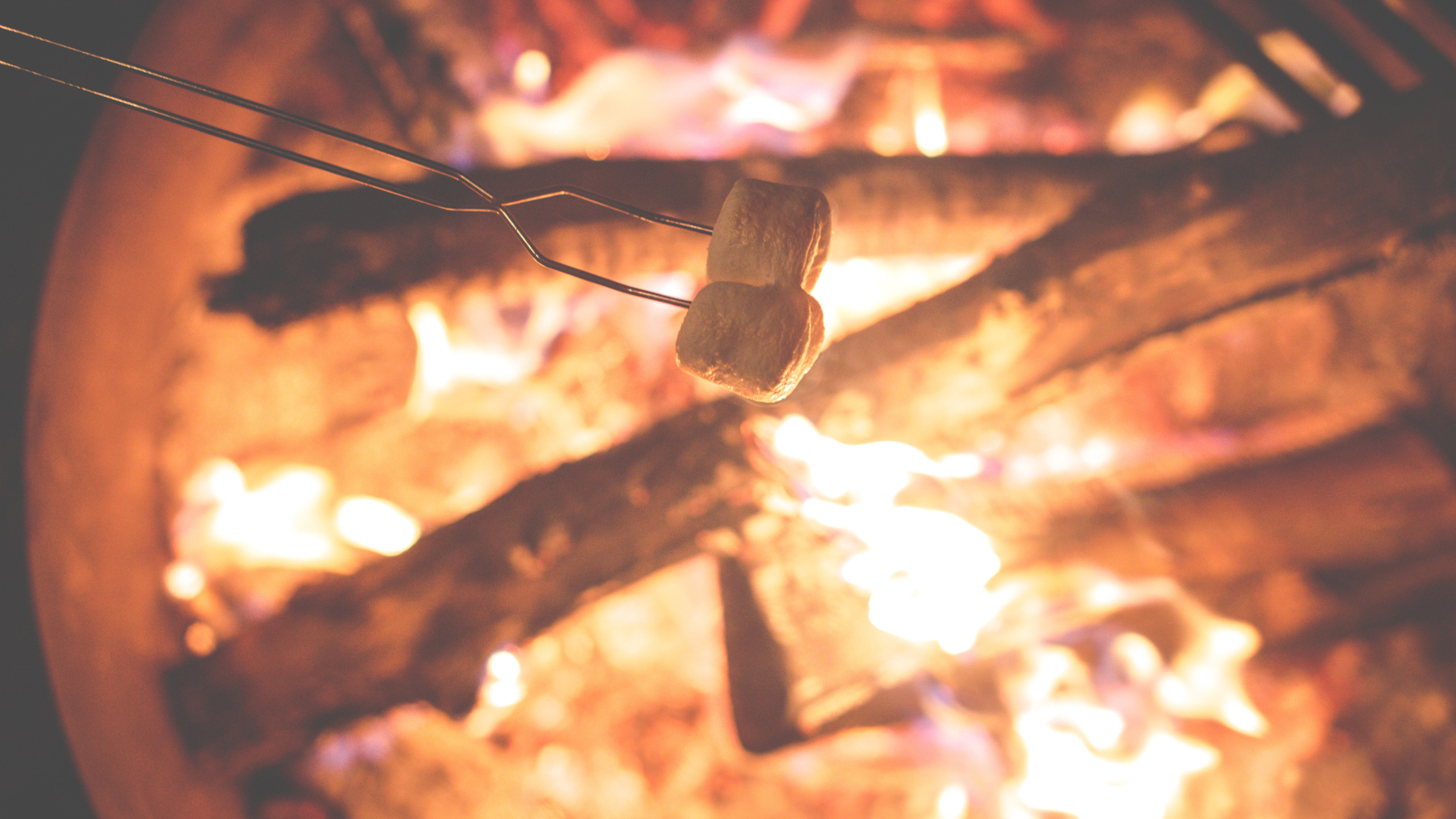 огонь, костер, fire, wood, зефир, flames, outdoors, camping, bonfire, logs,...