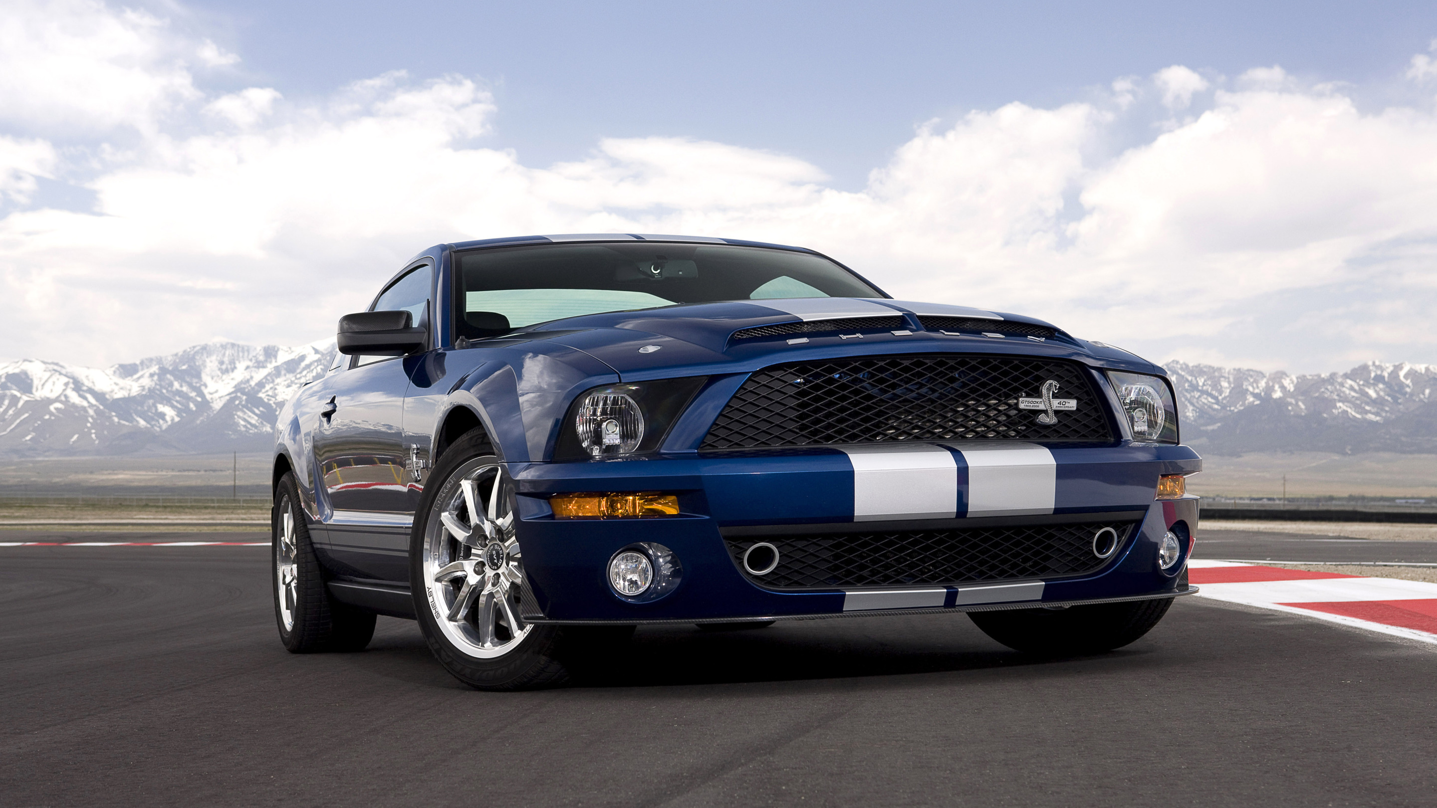 Mustang, Ford, Shelby, GT500, 2008, мустанг, форд, 40th Anniversary. 