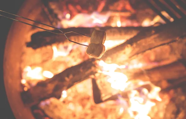 Картинка огонь, костер, fire, wood, зефир, flames, outdoors, camping, bonfire, logs, roasting, marshmallows, зефрки