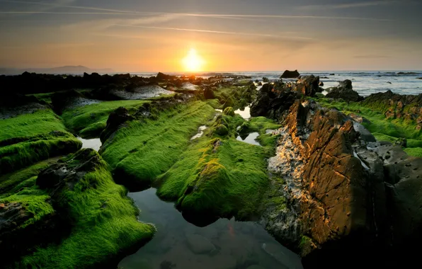 Картинка море, солнце, камни, скалы, зеленые