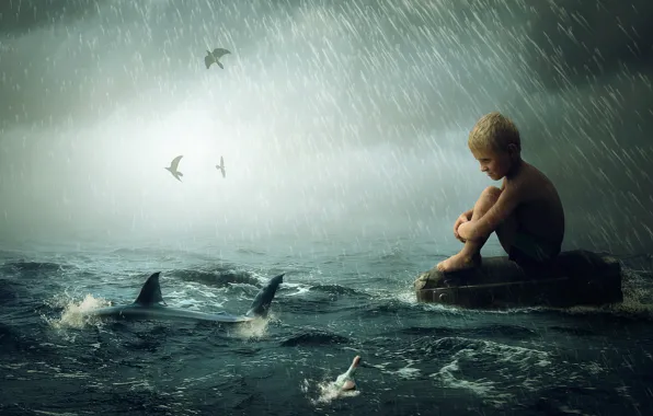 Картинка волны, дождь, акула, мальчик