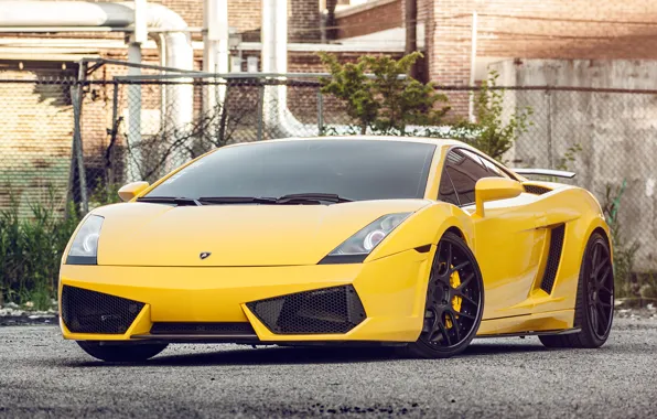 Картинка жёлтый, Lamborghini, Gallardo, ламборджини, yellow, front, галлардо