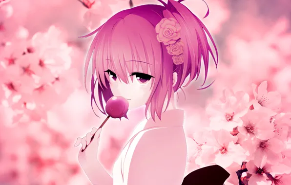 Картинка девушки, сакура, кимоно, розовые волосы, лепестки сакуры, Обои аниме, леденец на рабочий стол
