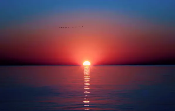 Картинка море, небо, солнце, закат, птицы, отражение