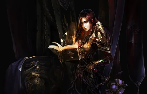 Картинка девушка, оружие, доспехи, книга, WoW, World of Warcraft, щит, цепи, воительница, chenbo