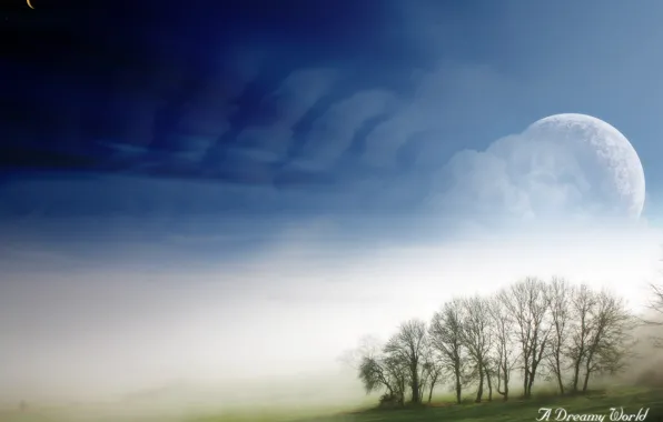 Картинка небо, деревья, туман, Dreamy World