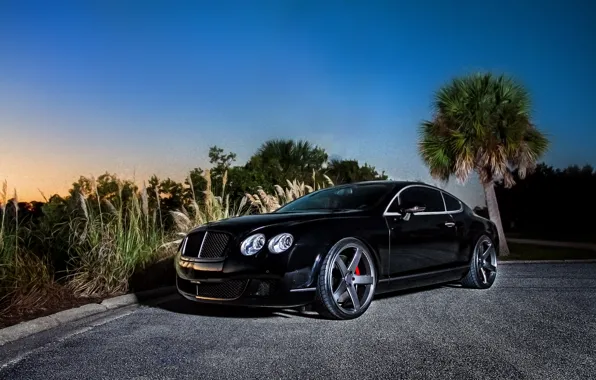Картинка черный, купе, Bentley, Continental GT, black, front, бентли, континентал