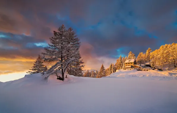Картинка зима, свет, снег, горы, утро, Альпы, Италия, Январь, Пьемонт