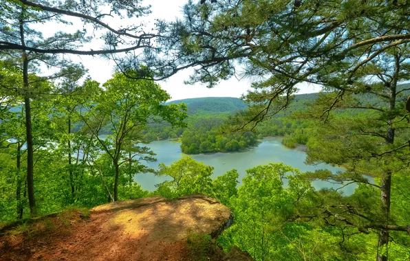 Картинка лес, лето, небо, деревья, горы, озеро, сша, Arkansas
