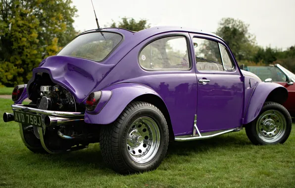 Картинка жук, Volkswagen, 1971, VW Beetle