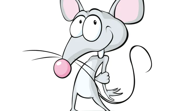 Картинка мышка, белый фон, смущение, mouse, white background, confusion