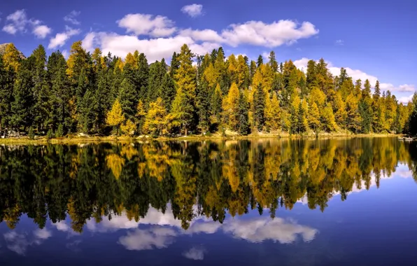 Картинка осень, лес, деревья, озеро, отражение, Швейцария, Switzerland, кантон Граубюнден, Graubünden, Верхний Энгадин, Lake Champfer, Озеро …