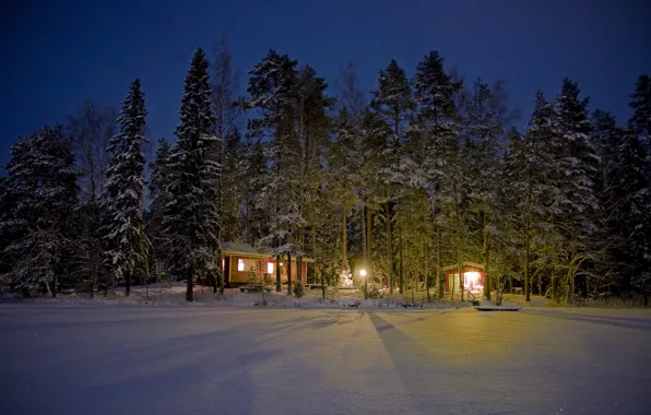 Картинка зима, лес, свет, снег, деревья, ночь, фонари, домики, Финляндия