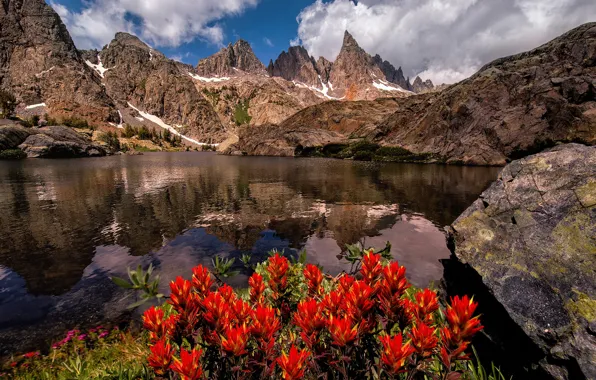 Картинка лето, цветы, горы, озеро, Калифорния, США, штат, Сьерра-Невада, Июль, Minaret, горная система