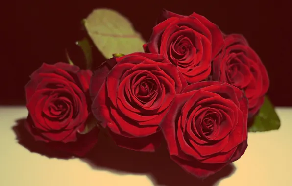 Картинка Love, Beautiful, Flowers, Roses, Vintage, Valentine's Day, Romantic, Gift, Bouquet, Still Life, In Love, Romance, …