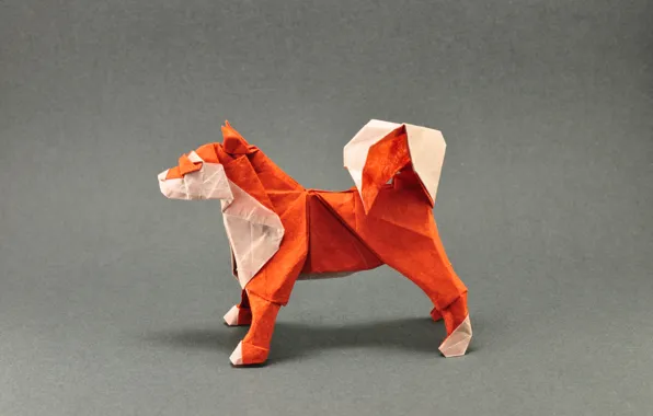 Картинка оранжевый, серый, собака, хвост, оригами, dog, tail, orange, origami, gray