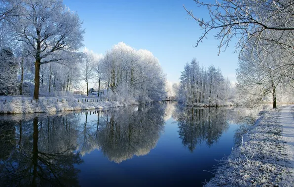 Картинка зима, иней, снег, деревья, река