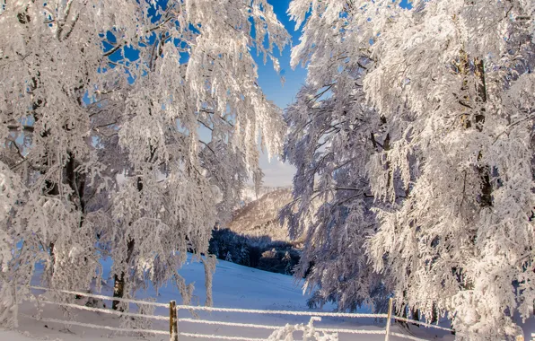 Картинка зима, снег, деревья, горы, забор, склон
