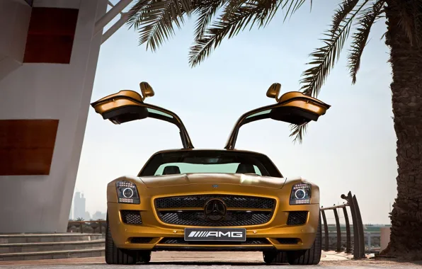 Картинка Пальма, Двери, Ступеньки, Золотой, SLS AMG Desert Gold Edition, Mercedes Benz