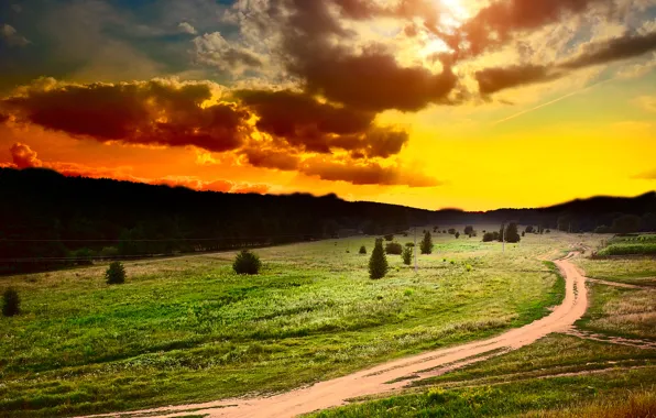 Картинка дорога, поле, лес, небо, трава, солнце, облака, деревья, закат, цветы, тучи, растения, тропинки