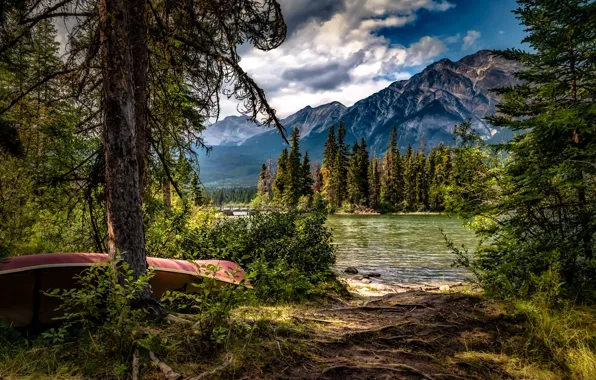 Картинка деревья, горы, озеро, лодка, Канада, Альберта, Alberta, Canada, Jasper National Park, Национальный парк Джаспер, Pyramid …