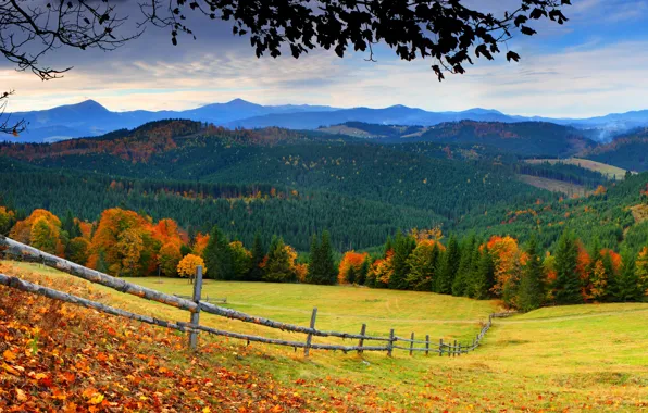 Картинка дорога, осень, лес, небо, трава, листья, деревья, горы, природа, colors, colorful, grass, forest, road, sky, …