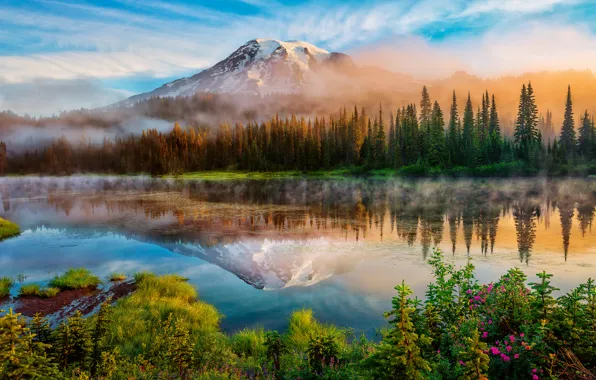 Картинка лес, лето, отражения, туман, озеро, гора, утро, США, штат Вашингтон, Mount Rainier, Рейнир, Каскадные горы, …