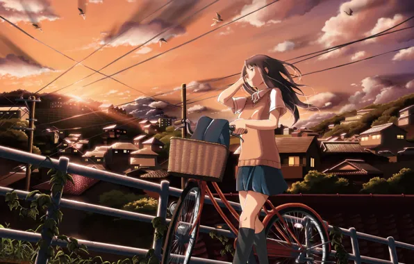 Картинка небо, девушка, облака, закат, птицы, велосипед, город, дома, аниме, арт, школьница, inoki