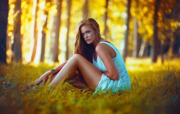 Картинка Girl, Light, Nature, Beautiful, Model, Color, Sunset, Beauty, Yellow, Forest, Trees, Natural, Blonce, Lindsey W
