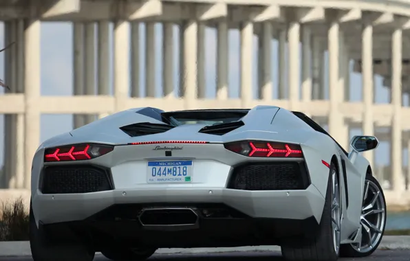 Картинка white, roadster, задок, LP700-4, ламборгини, авентадор, Lamborghini Aventador