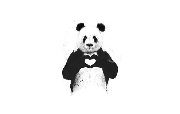 Картинка любовь, животное, сердце, панда, love, minimalism, animal, милота, panda