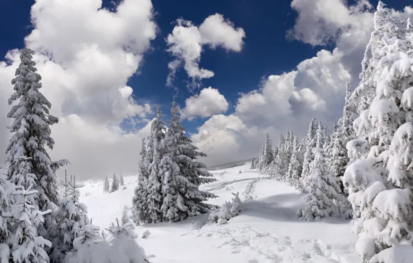 Картинка зима, лес, небо, облака, снег, деревья, пейзаж, горы, природа