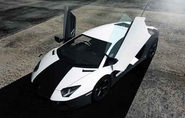 Картинка белый, черный, Lamborghini, перед, white, black, front, aventador, ламборгини, авентадор