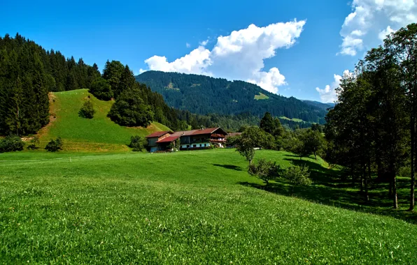 Картинка небо, трава, облака, деревья, горы, дом, поля, Германия, солнечно, леса, луга, Obernau