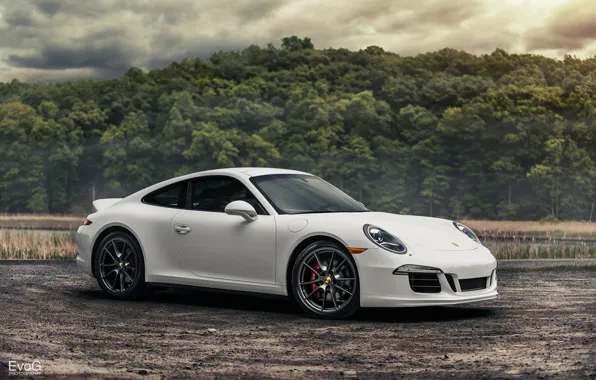 Картинка белый, 911, Porsche, white, порше, Carrera, Evano Gucciardo