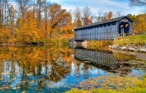 Картинка осень, мост, природа, река