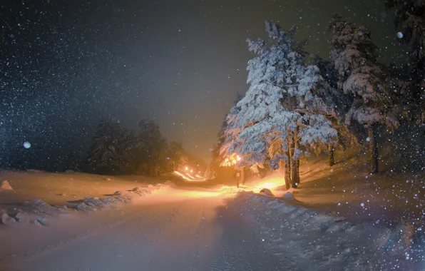 Картинка зима, дорога, снег, ночь, елки, освещение, фонари, снегопад