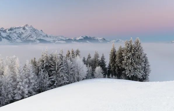 Картинка зима, снег, деревья, пейзаж, горы, природа, туман