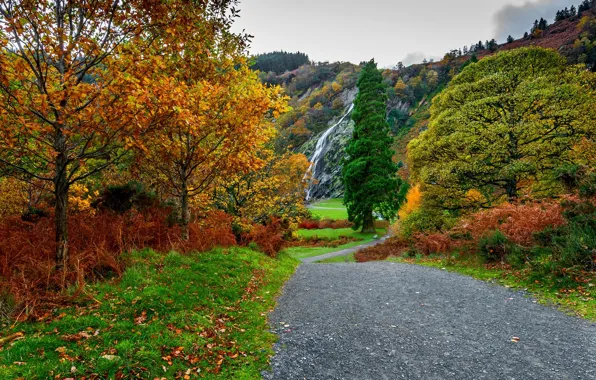 Картинка дорога, осень, лес, небо, листья, вода, облака, деревья, горы, природа, парк, colors, colorful, forest, road, …