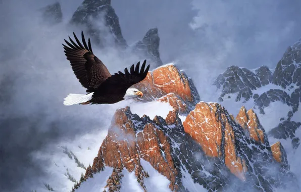 Картинка зима, облака, снег, горы, полёт, орёл, живопись, Derk Hansen, белоголовый орел, Fire on the Mountain