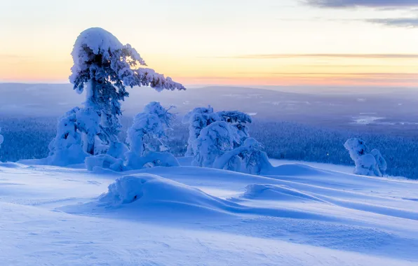 Картинка зима, снег, деревья, панорама, сугробы, Финляндия, Finland, Lapland, Лапландия, Ylläs, Юлляс