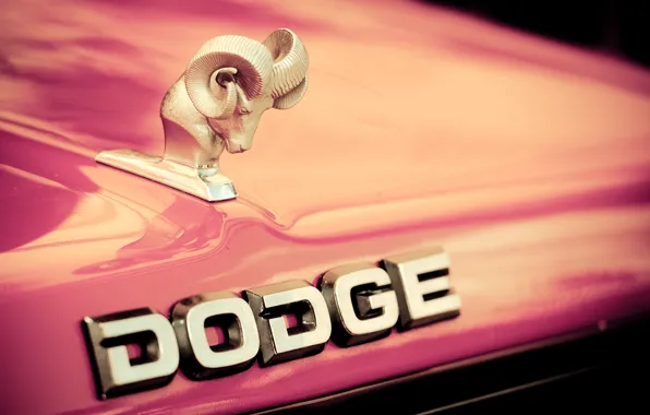 Картинка капот, лого, Dodge, эмблема