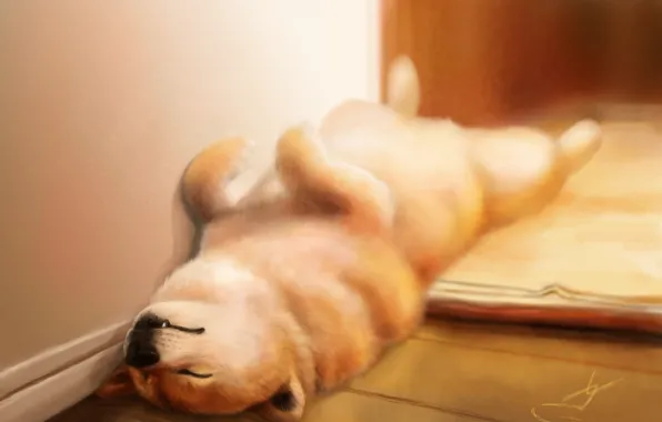 Картинка дом, сон, собака, арт, спит, щенок, на полу